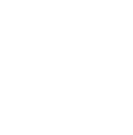 25 Years+ Experience