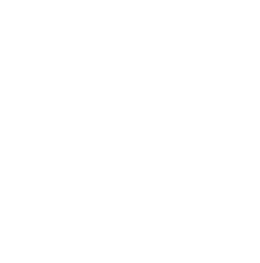 25 Years+ Experience Circle
