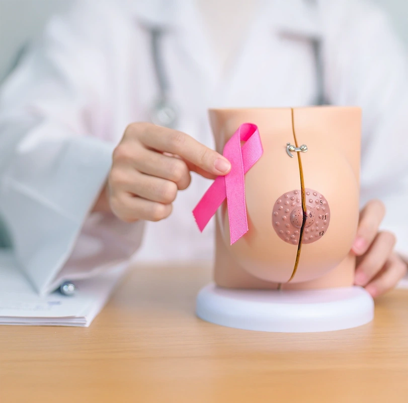 A medical doctor holding a pink ribbon next to an anatomical breast model during a breast cancer surgery consultation.